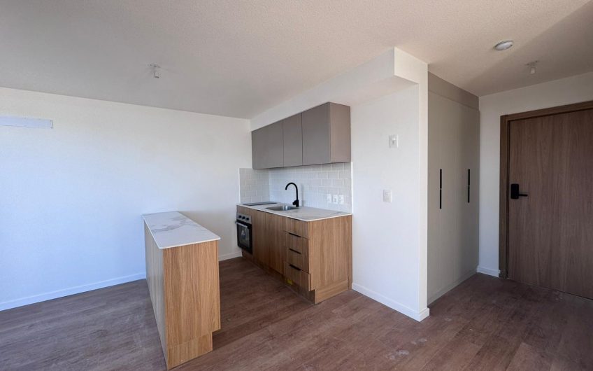 VENTA PENTHOUSE 1 DORMITORIO CON PARRILLERO PARQUE RODÓ